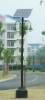 Solar Street Light