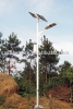 Solar Street Light (SGL-06D)