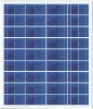 Solar panel(QSSM-60P)