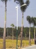 Solar street light(QSL-114)