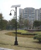 Solar yard/garden lamp