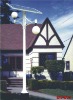 Solar yard light/Solar garden light