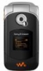 Sony Ericsson W300i