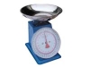 Spring platform scale