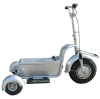 Stand-On Golf Trike (Silver)