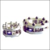 Standard throttle device