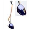 Steam Hanging Iron