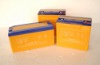 Storage battery set,Battery for Electric Dune buggy,8-DZM-20 lead-acid Battery