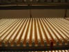 T8 led fluorescent Tube/T10 Tubes/T9 tubes/LED  daylight