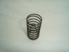 Valve Spring