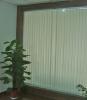 Vertical Blind