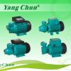Vortex Pumps