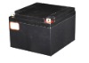 WT-12V24AH battery