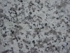 White Grain Granite (G439)