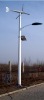 Wind & Solar Hybrid Lamp