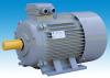 Y2 Series Cast Iron Three Phase Electric Motor