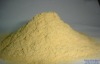 Yeast Powder 45%