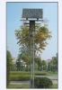 ZDNY-SG-LED50