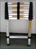 aluminium ladder (Folding ladder)