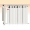 aluminum radiator(BT.A-F)