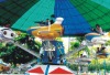 amusement park