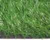 artificial grass