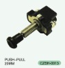 auto switch auto parts ,push-pull Switch