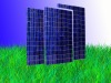big solar module /panel(solar energy product, pv cell panel)