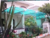 blue PC  sheet for  canopy