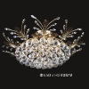 crystal ceiling lamp