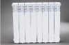 die casting aluminum radiator HS008-500B2