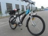electric bicycle CTM-012