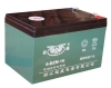 electric bicycle battery
