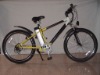 electric bikes