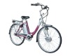 electrical bike