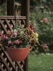 flower pot