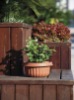 garden flowerpots