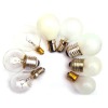 incandescent bulbs and color bulbs