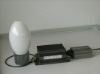 induction lamp for solar lights