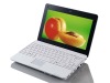 laptops  10.1" TFT LCD, Intel Atom N270 1.6GHz CPU laptops