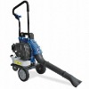 leaf blower/blower