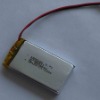 lithium polymer battery for GPS