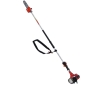long pole chain saw
