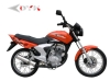 motorcycle.DYK150 CG-2