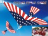 promotional gifts,flying toys,hobby model