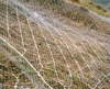 rockfall protection  for safety netting system
