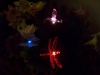 solar butterfly