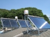 solar collector module