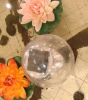 solar lamp light,floating global light