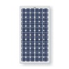 solar module / panel 5WP